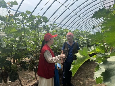 山西省气象局--市局动态