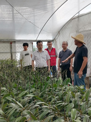 台风后,农业保险理赔开通“绿色通道”,助力农户加快重建、恢复生产