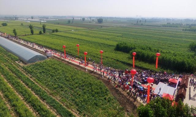 清徐西怀远首届油菜花文化节开幕