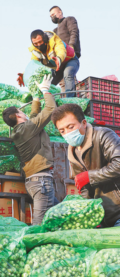 志愿服务 温暖的力量(来自疫情防控一线的报道)