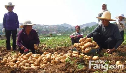毕节多举措助力实体经济转型升级