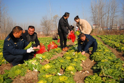 怀远县包集镇包集村先锋网