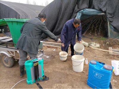 安徽怀远古城镇:抓住产业发展这个牛鼻子