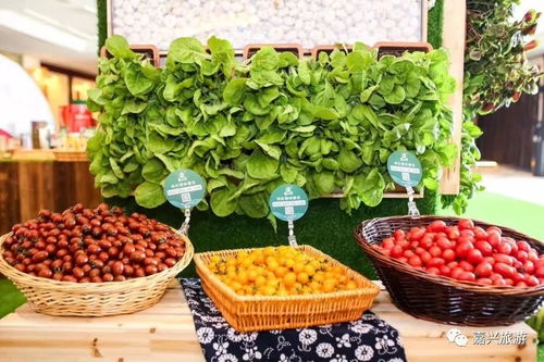 嘉兴市美丽乡村休闲旅游推介暨农产品区域公用品牌发布会在上海举行