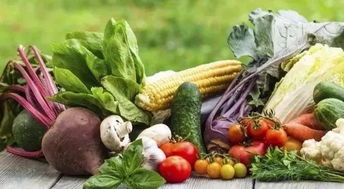 脂肪肝可以逆转,日常做到这几点,消除脂肪肝