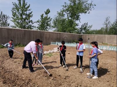 怀远县龙亢镇三教小学参观劳动教育实践基地