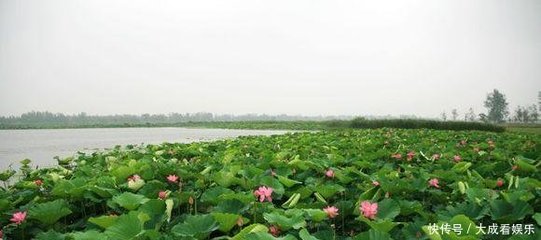 蚌埠市最牛的1个区和1个县