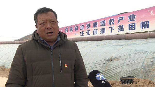 甘肃会宁任长太:挑起致富梦的“脊梁”