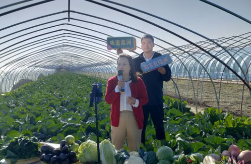 江苏盱眙 新农人 助力优质农产品 云端 出道