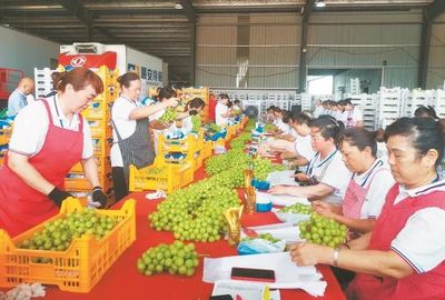 湖北日报聚焦荆州:头雁竞飞强富美 产兴业旺新公安