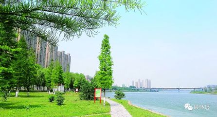 怀远县荆山镇:依山亲水凸显城市魅力