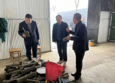 安徽省农业信贷融资担保