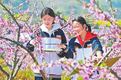 20250325四川日报图片