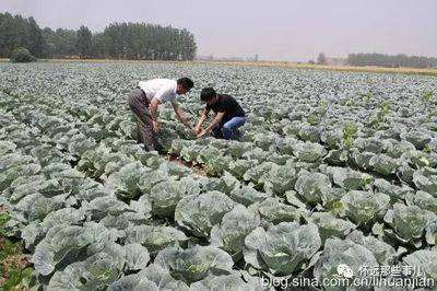 蚌埠市怀远县--双桥村百年史话