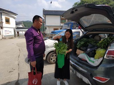 各区市政府网站