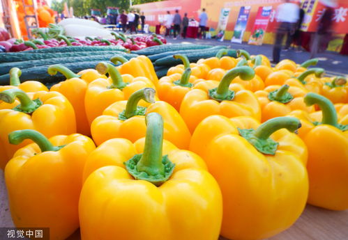 200多种特色农产品亮相乡村振兴齐鲁样板展示活动