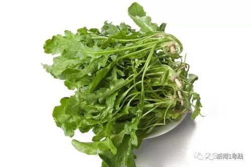 我市地理标志农产品数量已达到5个