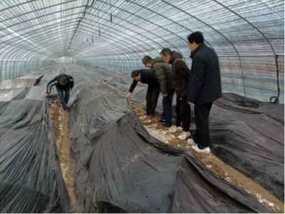 安徽怀远古城镇:抓住产业发展这个牛鼻子