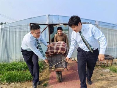 大众日报客户端:邮政“丰收宝+丰收码”,潍坊菜农速收款