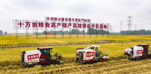 以标准化生产为引领打造 崇耕 优质农产品