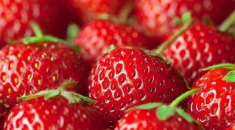 安徽农业盛会拉开大幕 马鞍山市长亲自上台为当地特色农产品 吆喝