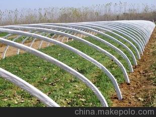 【诚信供应商供应】安徽养殖大棚、安徽蔬菜大棚骨架图片,【诚信供应商供应】安徽养殖大棚、安徽蔬菜大棚骨架图片大全,怀远县新城区金路水泥制品厂-