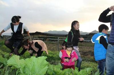 云水谣,一个诗情远方的梦里水乡,2017春节亲子游攻略