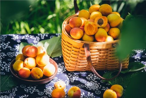 百果园 品味新疆 招牌果发布会在疆举行 18年来坚持为新疆水果鼓与呼