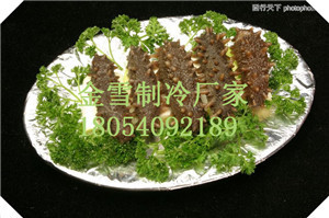 怀远蔬菜冷库安装工程发展的现状