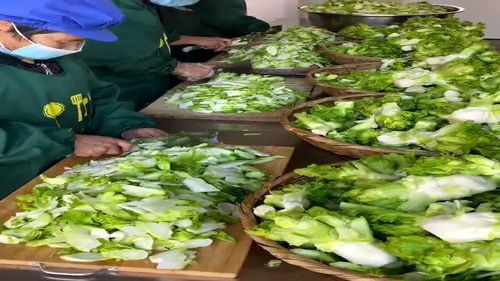 原来食品厂的蔬菜是这样清洗的,非常干净卫生,可以放心购买了