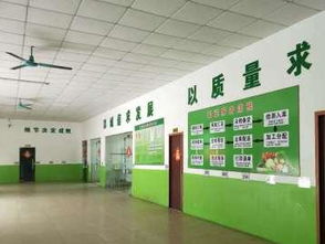 图 广州蔬菜配送 企事业单位学校工厂快餐店饭堂 广州生活配送