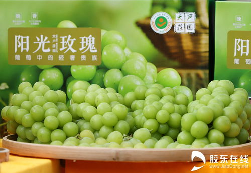 图集 庆祝第六届中国农民丰收节 烟台特色农产品展