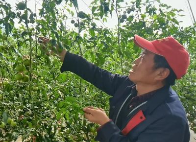 银川市西夏区人民政府