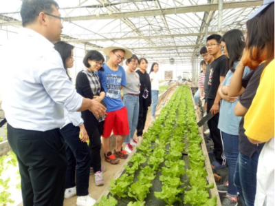 我院成功举办2019年无土栽培技能大赛 怀远蔬菜助力现代农业发展