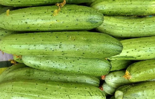 1月22日怀远精品蔬菜市场价格行情分析