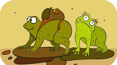 河北承德2天2次地震,震前青蛙大量聚集,动物预测真的准确吗