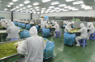 安徽怀远引资发展现代农业